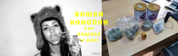дурь Новозыбков
