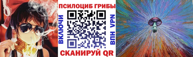 Купить  Сорочинск  Псилоцибиновые грибы MAGIC MUSHROOMS 